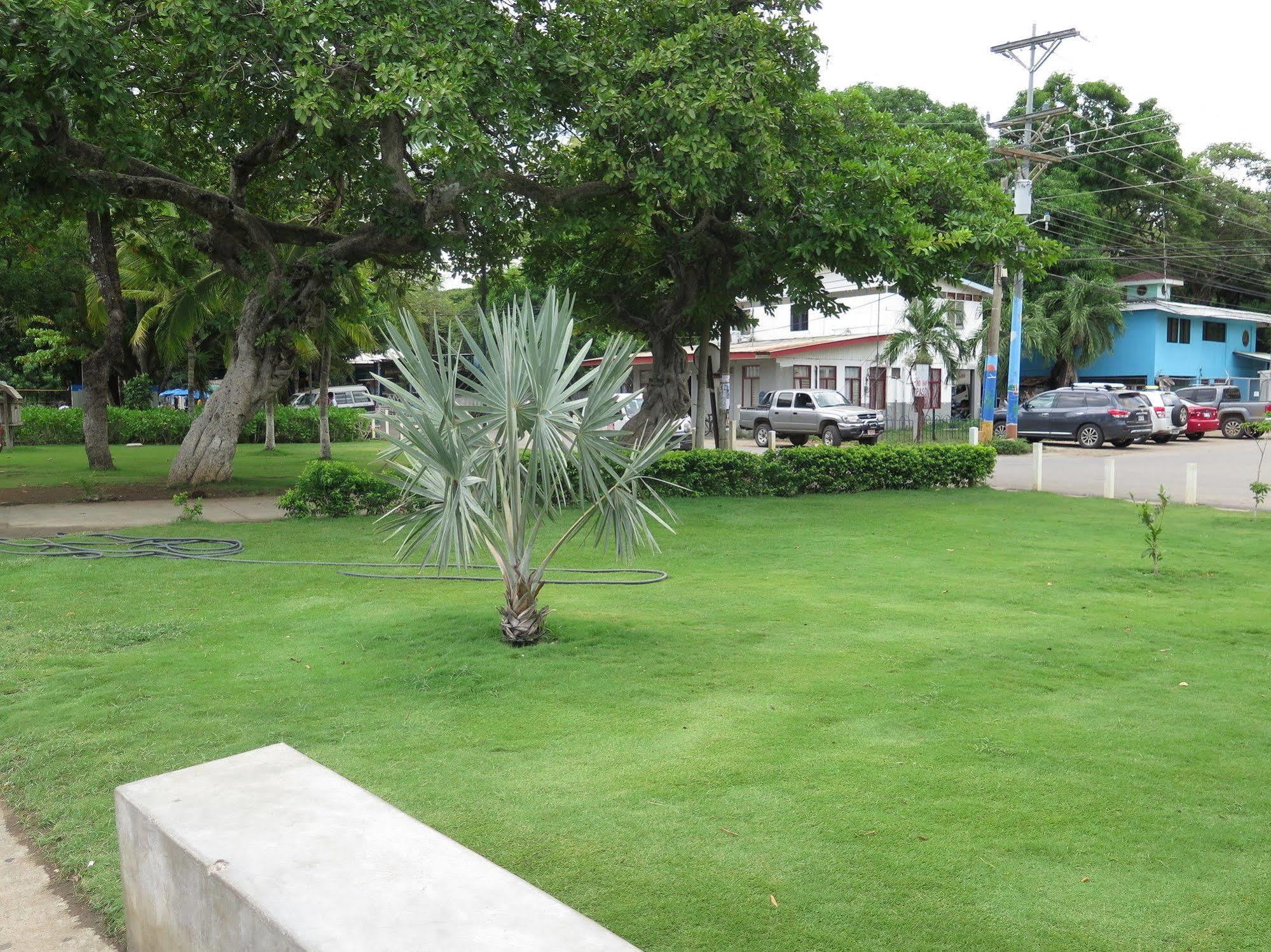 Hotel Savannah Playas del Coco Экстерьер фото